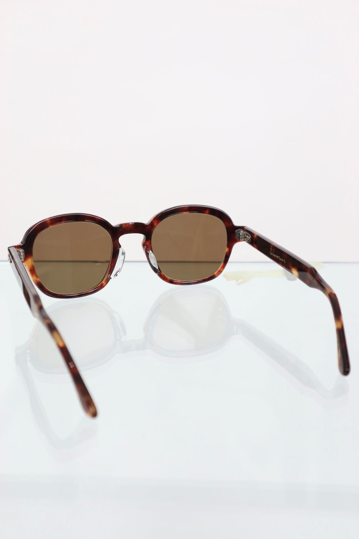 SUNNYSIDERS_Buddy Optical_Buddy Optical - Wisconsin, Tortoise / Brown Lens_Sunglasses